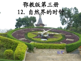 593鄂教版二年级上册语文《自然界的时钟》