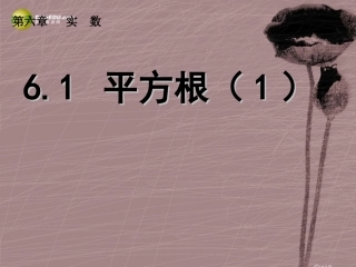 61平方根课件（1）（新版）新人教版