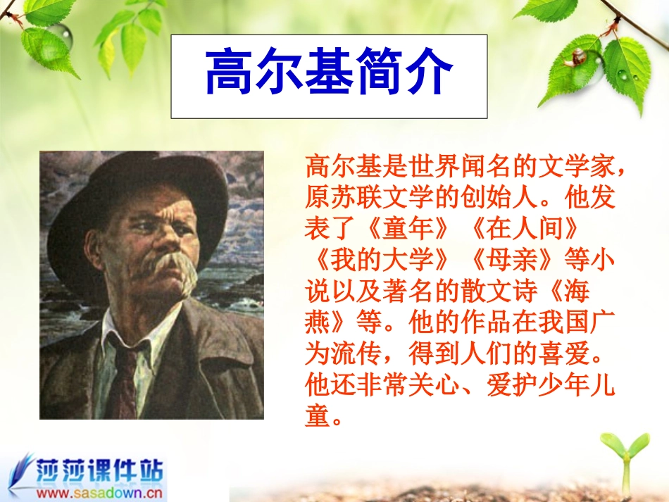 小摄影师的课件_第2页