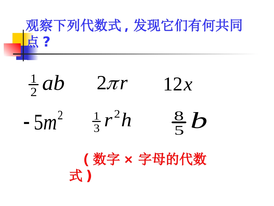 331单项式 (2)_第3页