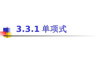 331单项式 (2)