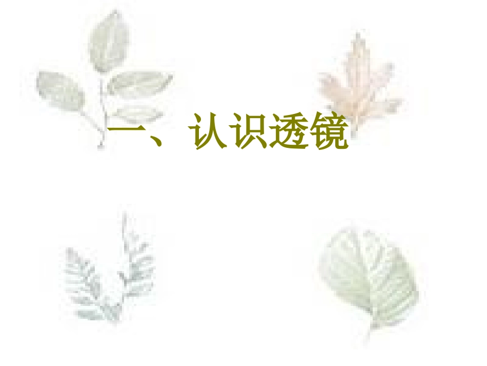 51透镜--高讲课用_第2页