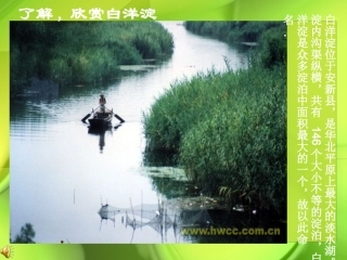 我的《芦花荡》