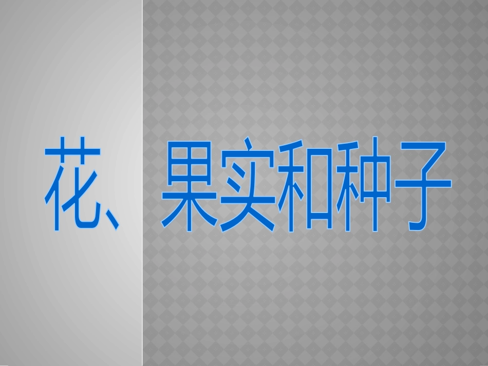 3花果实和种子_第1页