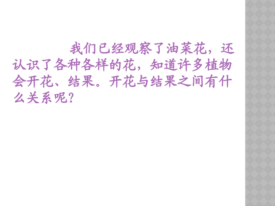 3花果实和种子_第2页