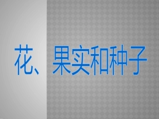 3花果实和种子