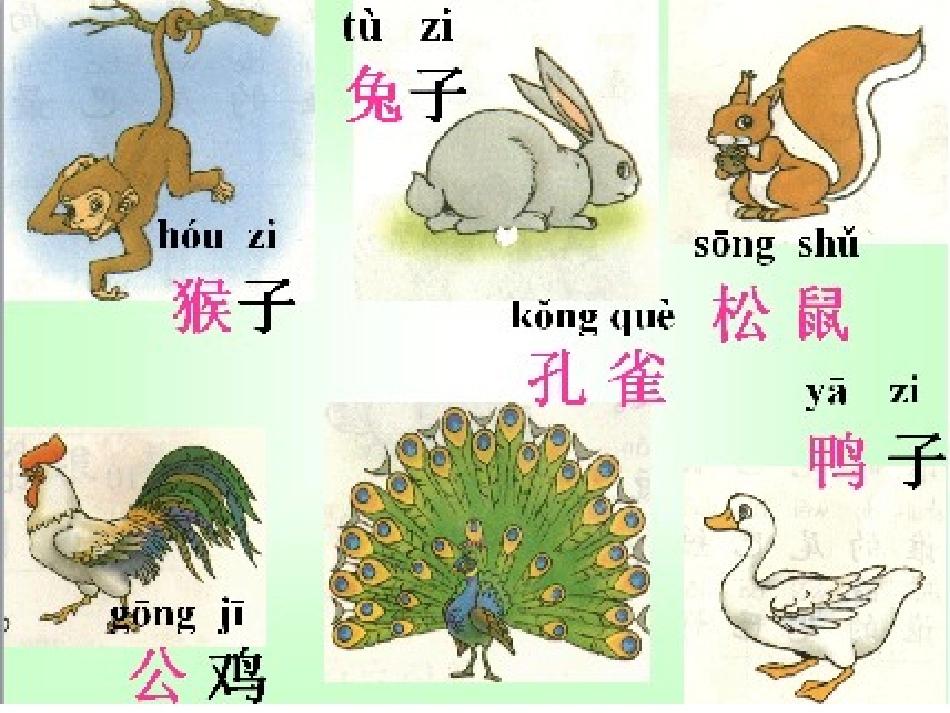 比尾巴公开课_第3页