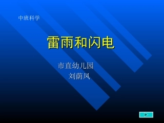雷雨和闪电1