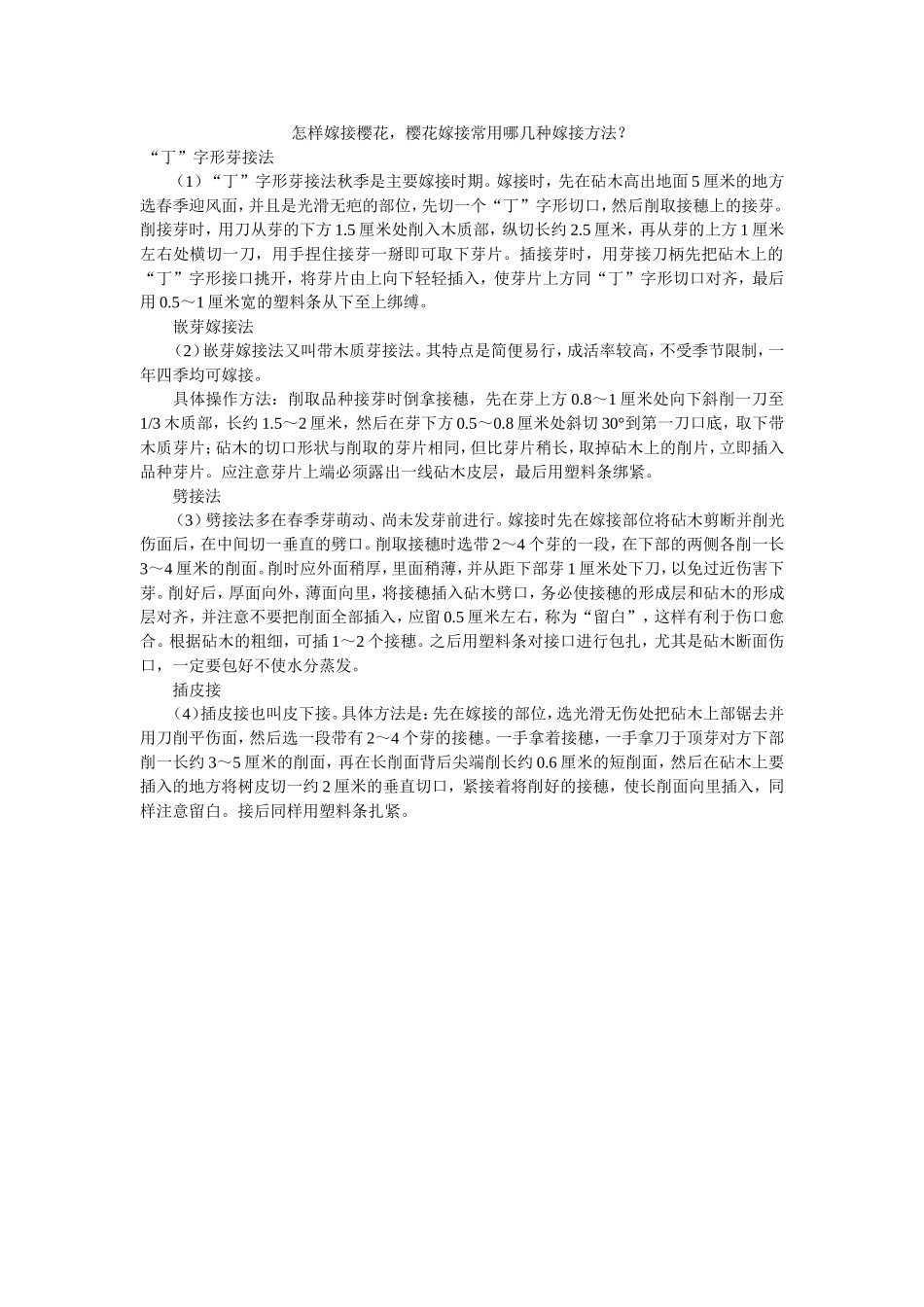 怎样嫁接樱花_第1页