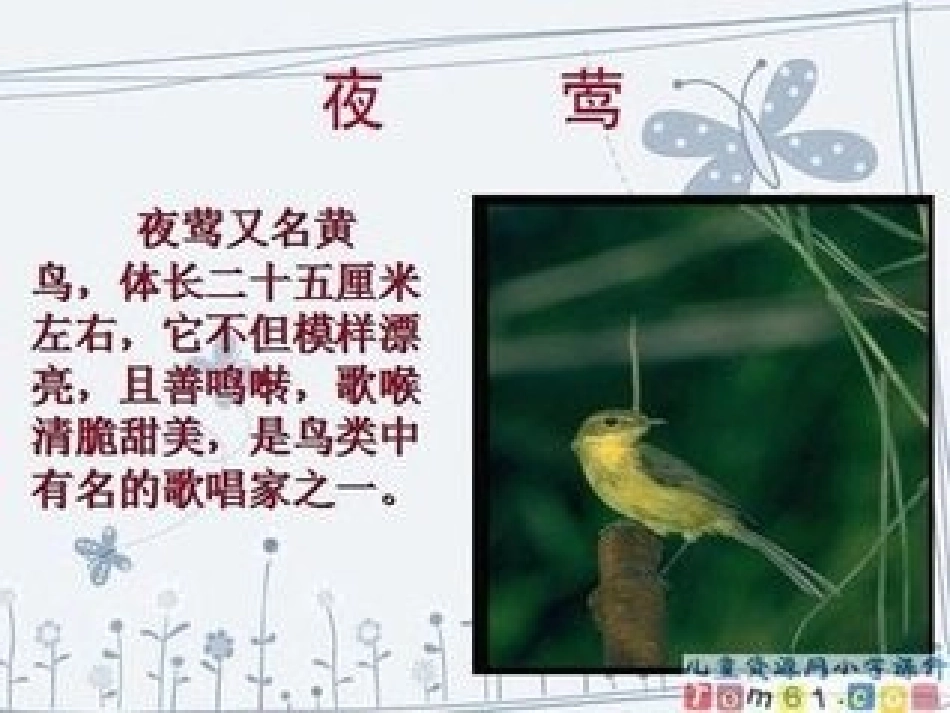 夜莺的歌声课件_第2页