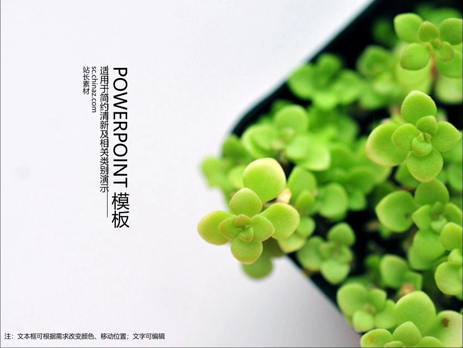 小清新绿植模板_第1页