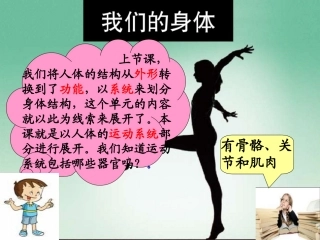 骨骼关节肌肉