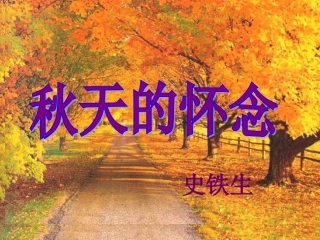 2《秋天的怀念》课件(3)