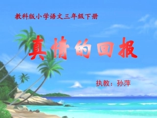 真情的回报课件