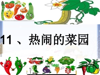 25热闹的菜园