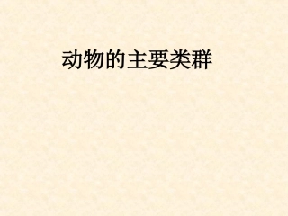 动物的主要类群