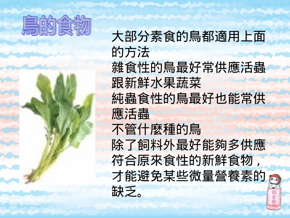 和小鸟最想亲爱_第3页