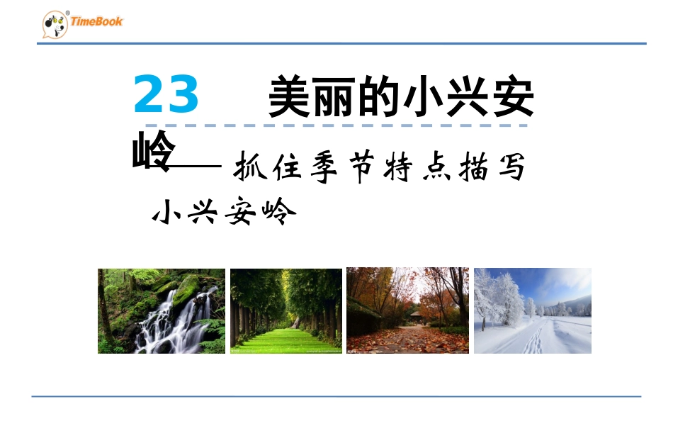 23美丽的小兴安岭_第1页