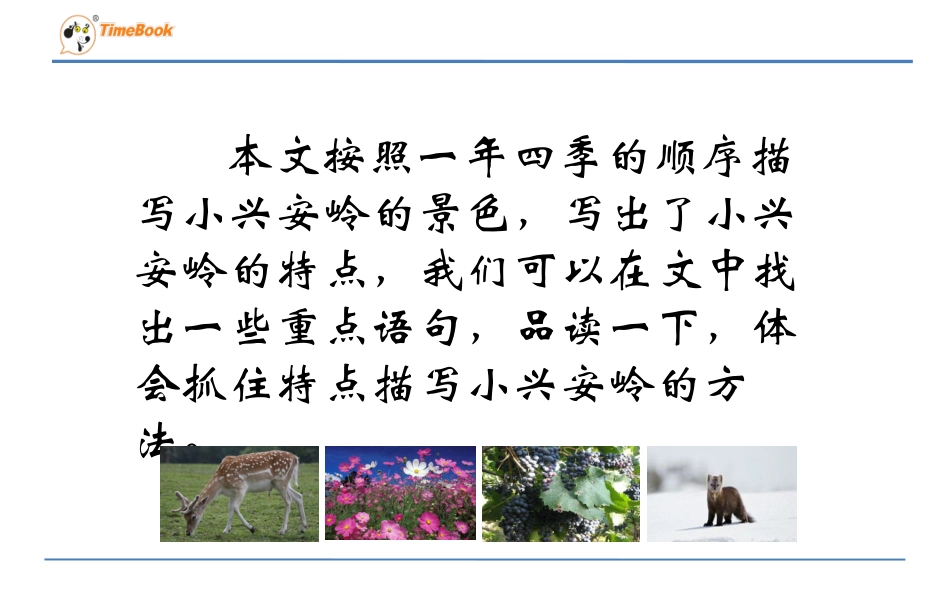 23美丽的小兴安岭_第2页