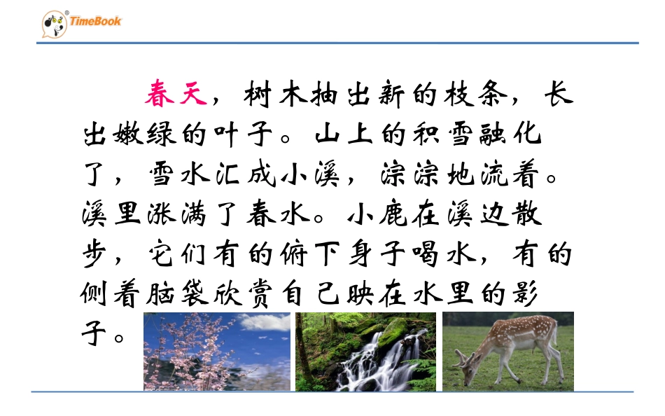 23美丽的小兴安岭_第3页