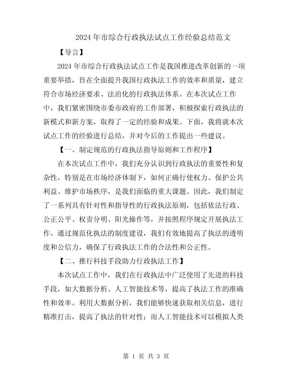 2024年市综合行政执法试点工作经验总结范文 _第1页