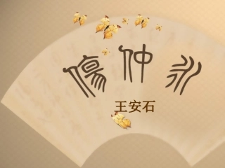 5、伤仲永、