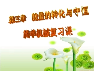 简单机械复习课