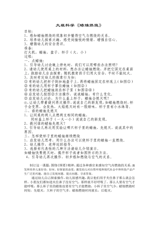 大班科学蜡烛