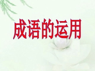 成语运用 (2)