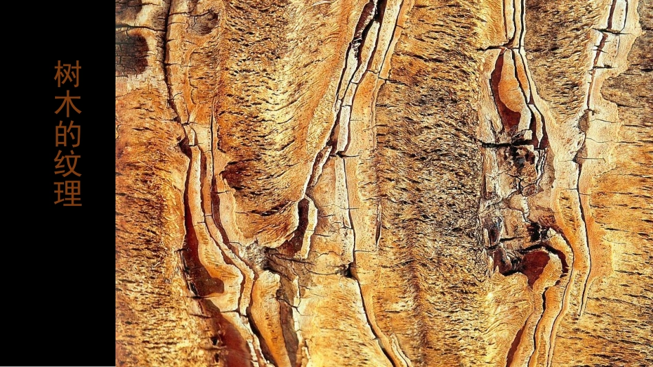 第4课_学画抽象画_第3页