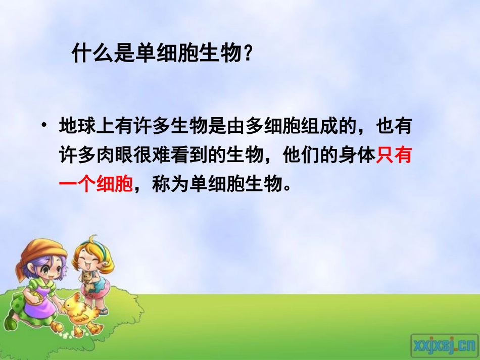 2012年10月10单细胞生物_第2页