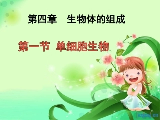 2012年10月10单细胞生物