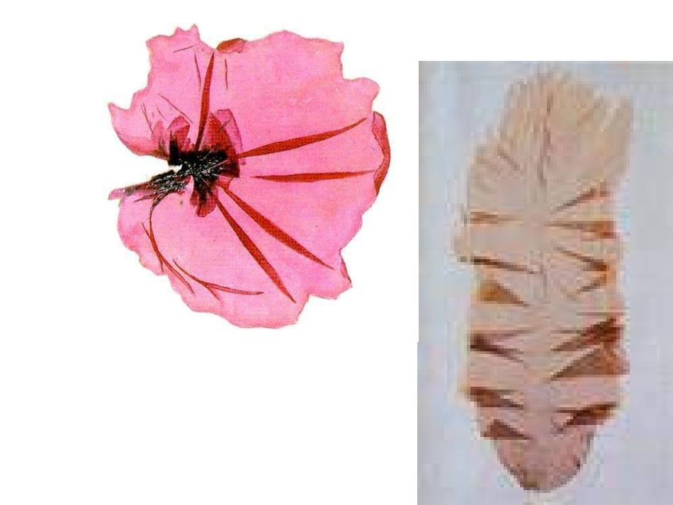 第三单元生物圈中2_第3页