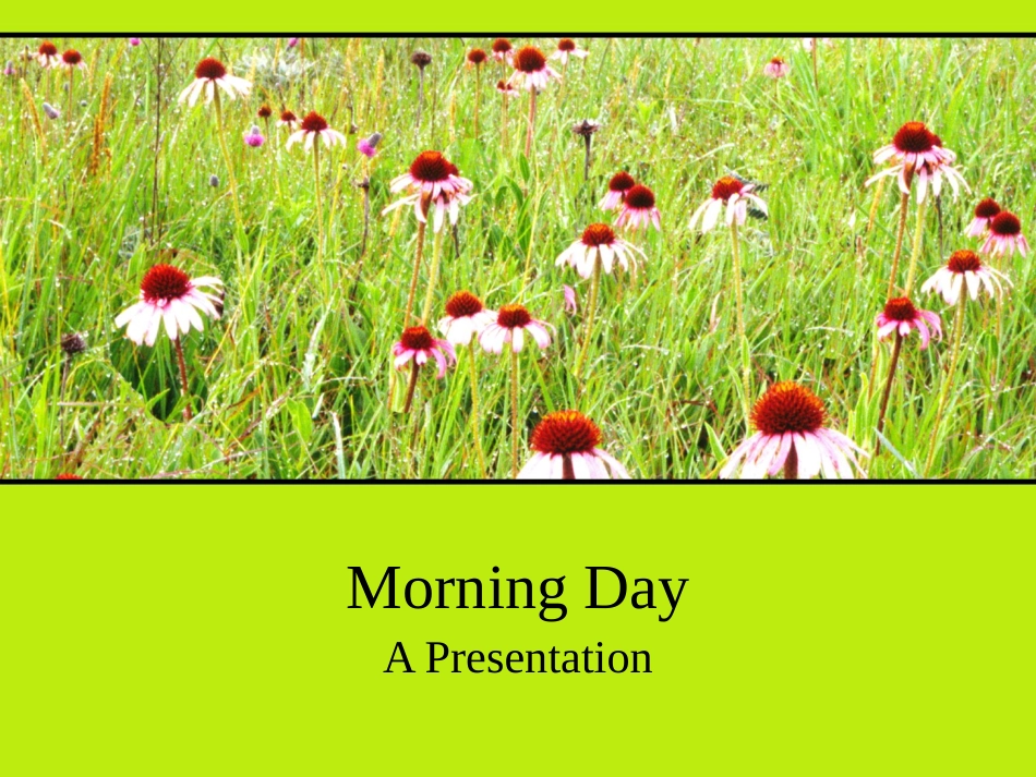 养眼绿色模板_第1页