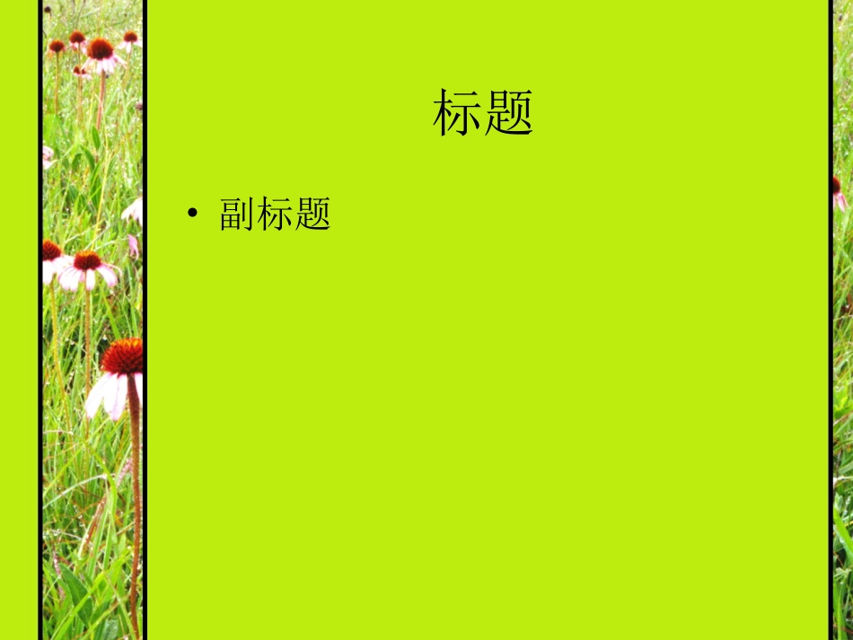 养眼绿色模板_第2页