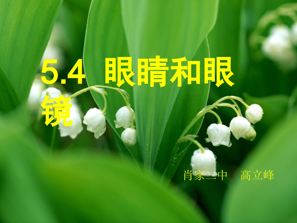 54眼睛和眼镜--高立峰_第1页