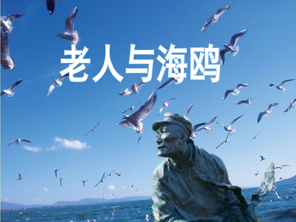 老人与海鸥导学版_第1页