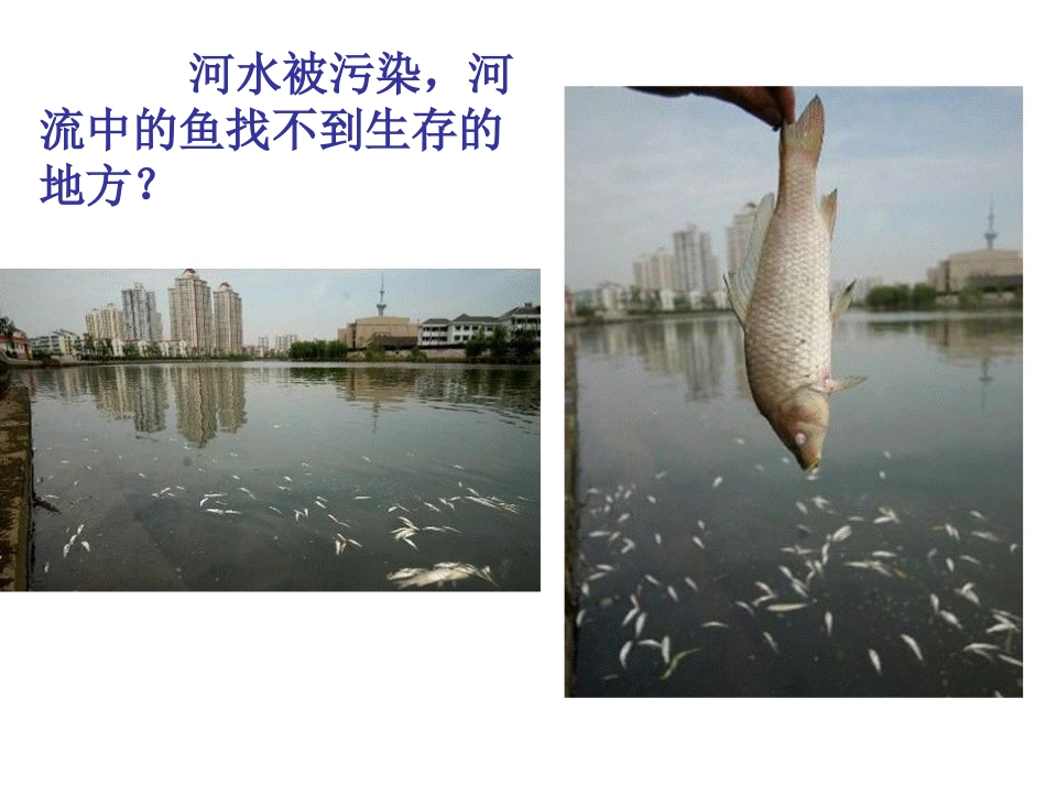环保班队课件_第3页