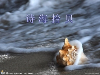 诗海拾贝-成果展示