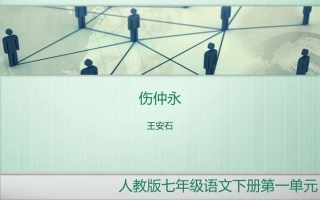 5伤仲永课件2