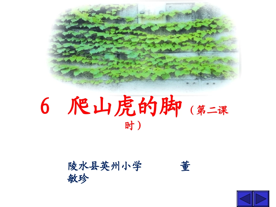 爬山虎的脚 (2)_第1页