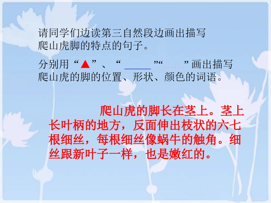 爬山虎的脚 (2)_第3页