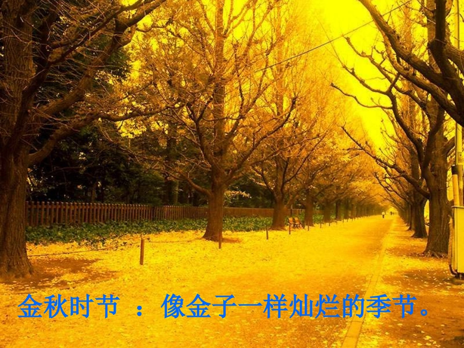 二年级上识字1_第3页