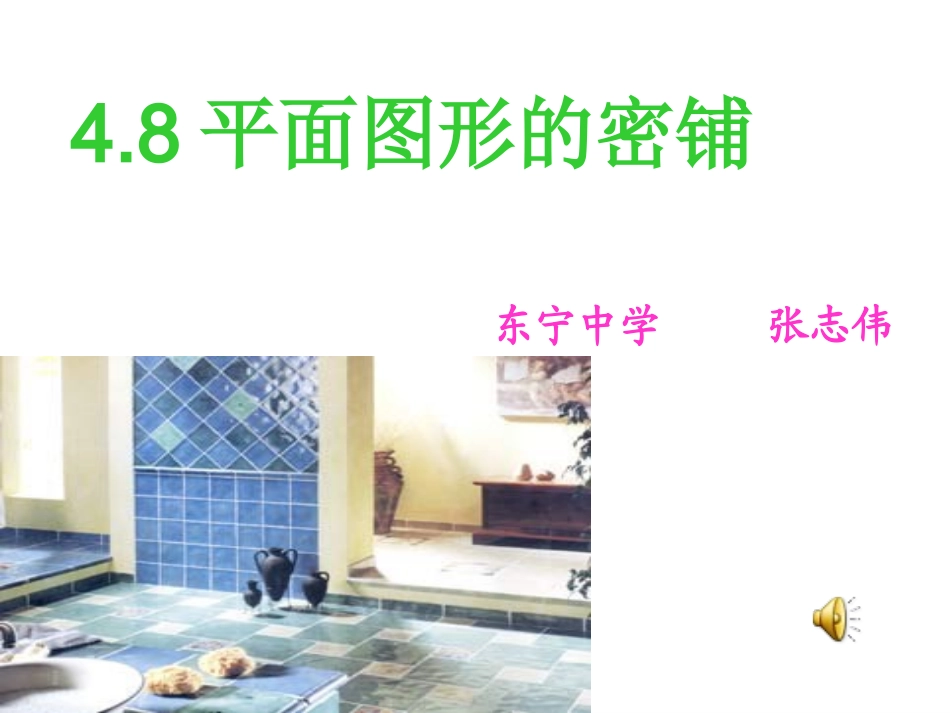 平面图形的密铺_第1页