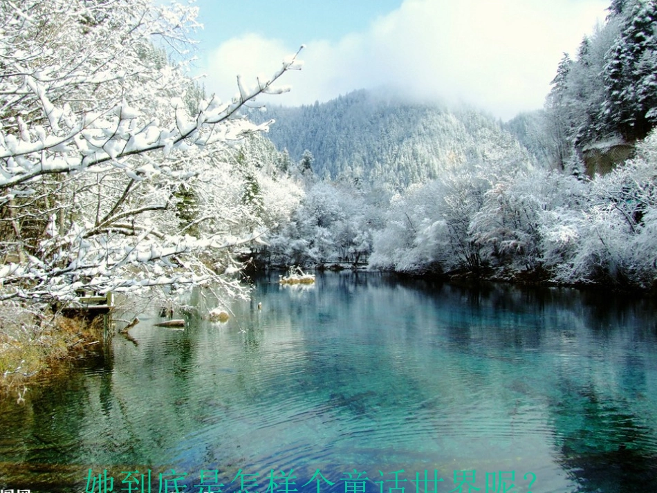 我的九寨沟课件_第2页