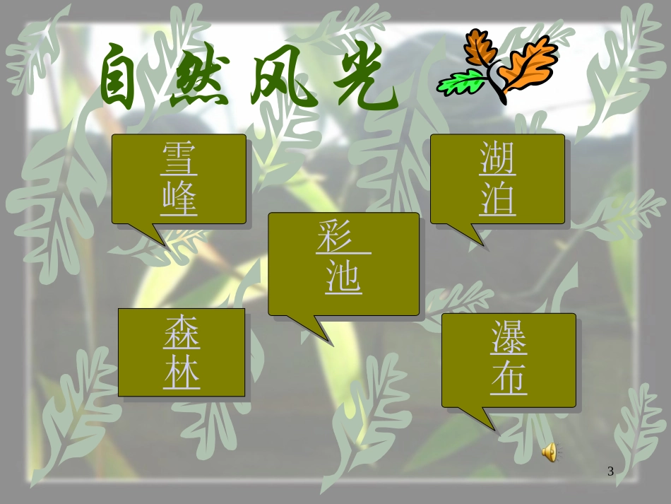 我的九寨沟课件_第3页