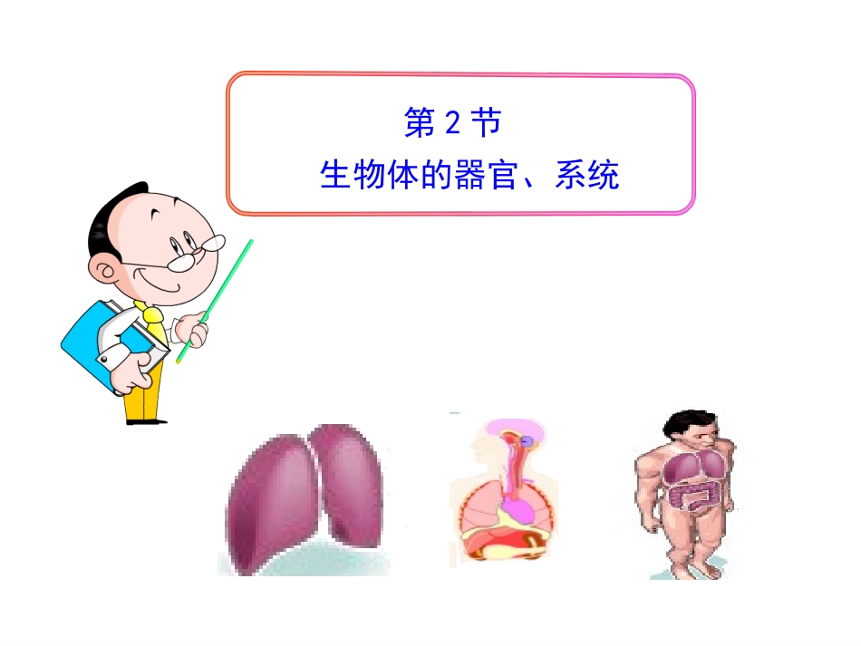 42生物体的器官、系统PPT_第1页