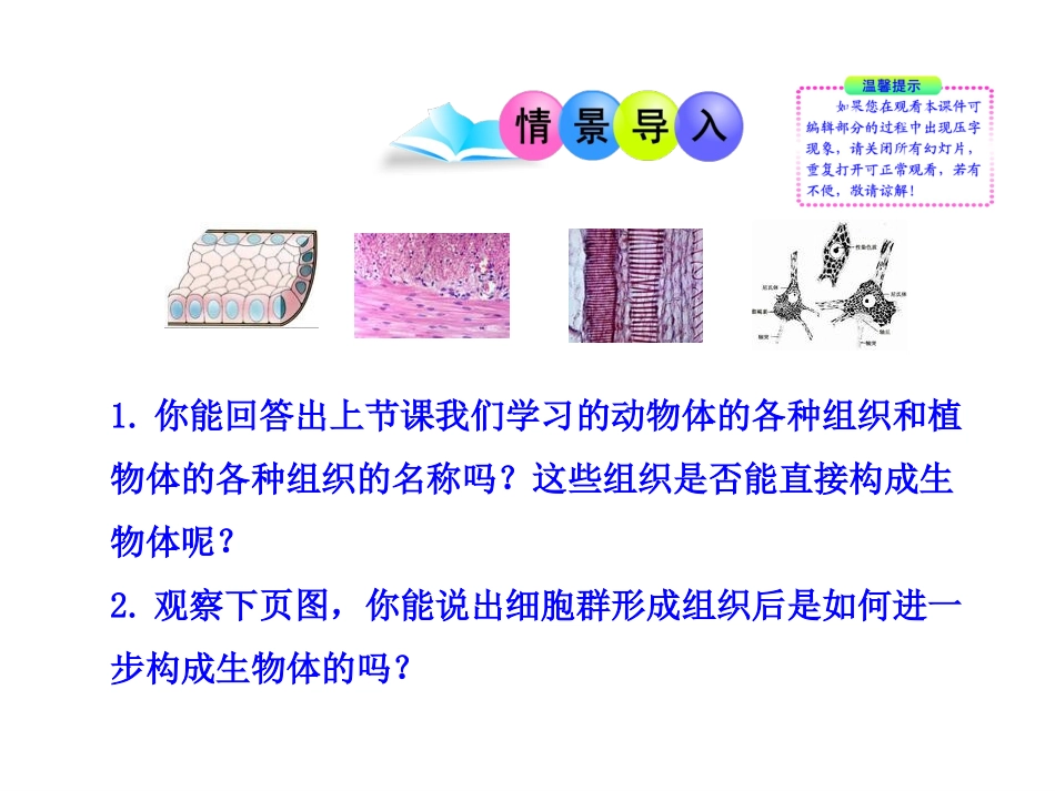 42生物体的器官、系统PPT_第2页