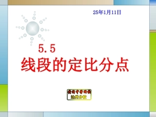 55线段的定比分点