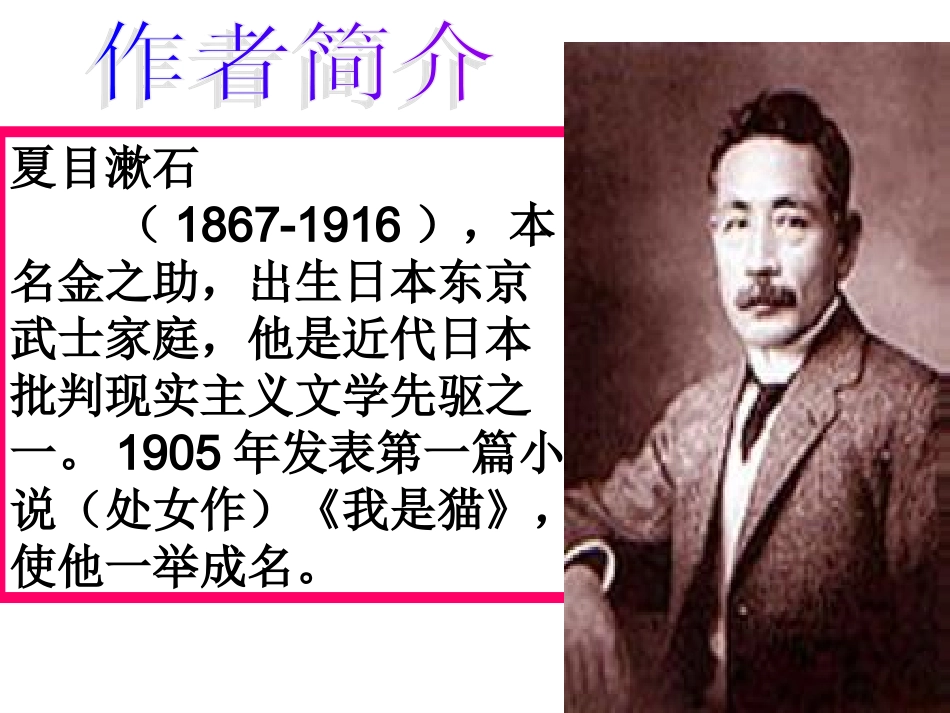 我是猫 (2)_第3页